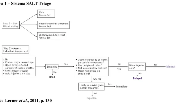Figura 1 – Sistema SALT Triage 