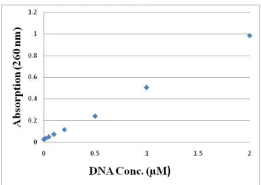 Figure 3.13 Absorbance at 260 nm versus the DNA concentration in Dengue-ds-DNA  solutions with TMPyP at different ratios of 0.02, 0.01, 0.1, 0.2, 0.5, 1, 2