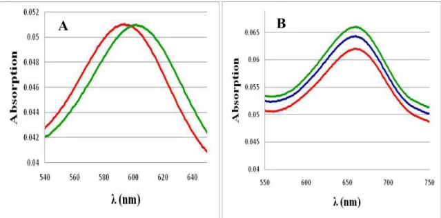 Figure 3.20 A) Full functionalization of gold nanorods with thiolated ss-DNA probe sequence  (red and green curve is before and after functionalization, respectively), ∆LSPR =7.8 nm, B)  Plasmon peak before adding complementary Dengue virus target RNA in P