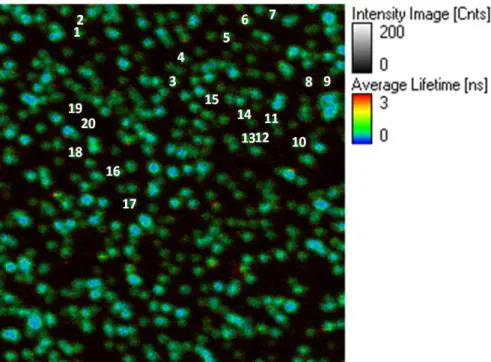 Figure 3.27 LSPR band of single gold nanorods in PBS (5 particles shown here) fitted with a  Lorentzian function