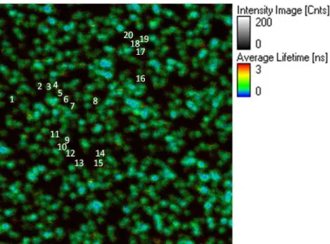 Figure 3.38 LSPR band of single gold nanorods in PBS (5 particles shown here) fitted with a  Lorentzian function