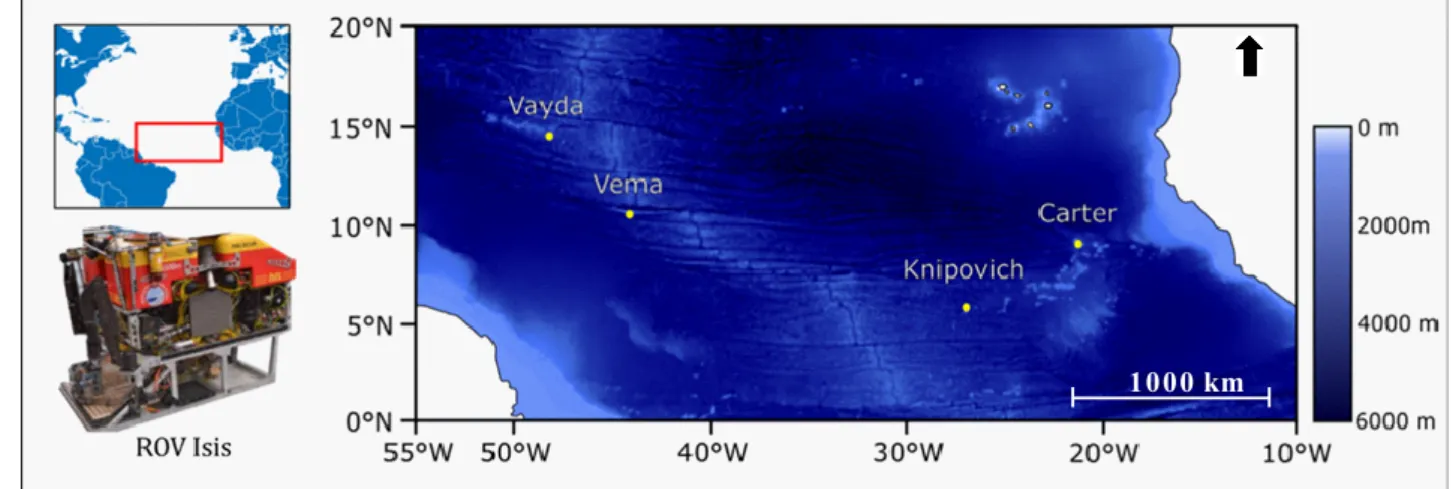 Figure 2.2. Map with the locations of the four seamounts where the sampling was undertaken