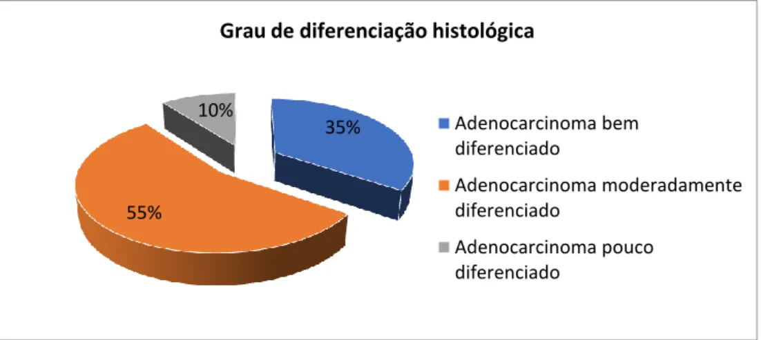 Gráfico 4 - Distribuição da amostra segundo a variável &#34;diferenciação histológica&#34; 