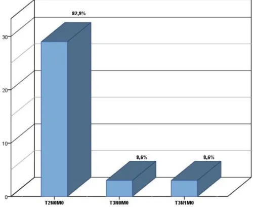 Gráfico 4 - Distribuição dos casos em estudo segundo a “classificação TMN” (N=35). 
