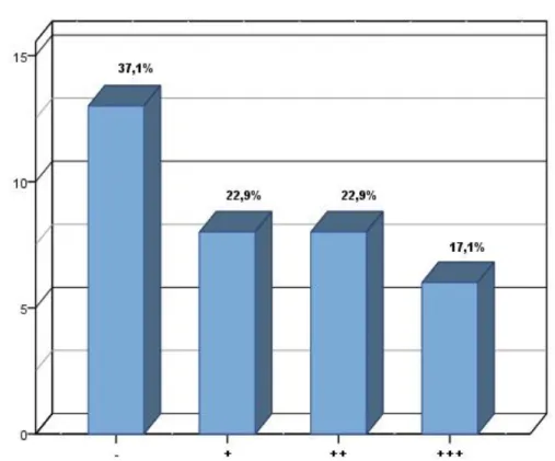 Gráfico  5  -  Distribuição  dos  casos  em  estudo  segundo  a  “intensidade  de  marcação  imunohistoquímica  pela proteína Ki-67” (N=35)