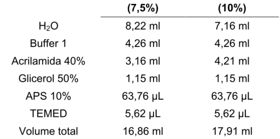 Tabela  1.  Composição  do  Gel  Resolving  de  poliacrilamida,  com  densidades  diferentes  (7,5  e  10%)  para  a  eletroforese  de  cada  proteína  estudada  (SERCA2a  e  Fosfolambano,  respectivamente)