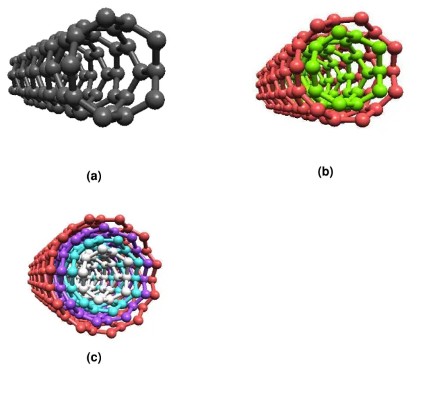 Figura  1.2-  Esquema  para  a  representação  dos  tipos  de  nanotubos  de  carbonos existentes; (a) SWCNT, (b) DWCNT e (c) MWCNT
