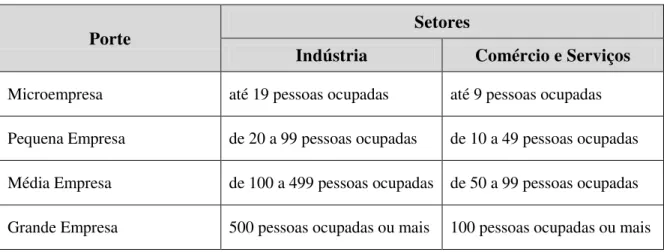 TABELA 1.1 Classificação dos estabelecimentos segundo o porte. 