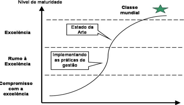 FIGURA 3.3 Evolução e estágios de maturidade da gestão. 