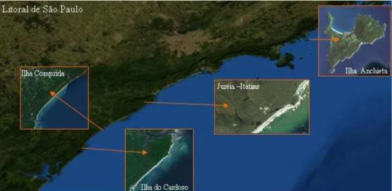 Figura 8. Foto ilustrativa do litoral paulista com imagens ampliadas dos locais de estudo (Fonte: Google Earth Maps)