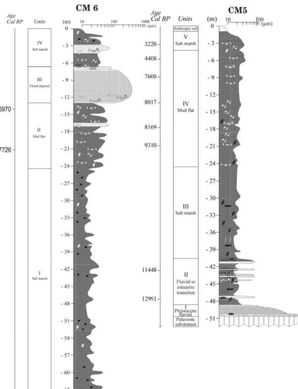 Figure 4 4. Lithologiccal profiles in n boreholes C IGCP#495  -CM6 and CM 2008 Field GM5