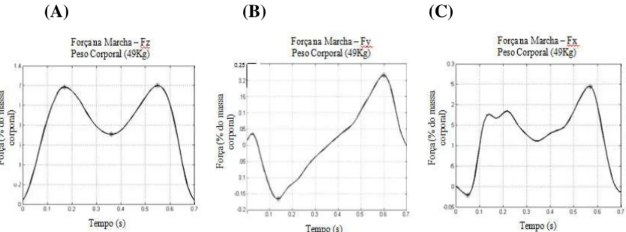 Figura 2. A: Componente vertical (Fz); B: Componente horizontal na direção ântero- ântero-posterior  (Fy);  C:  Componente  horizontal  na  direção  médio-lateral  (Fx)    da  força  de  reação do solo durante um ciclo da marcha de uma participante de 49Kg