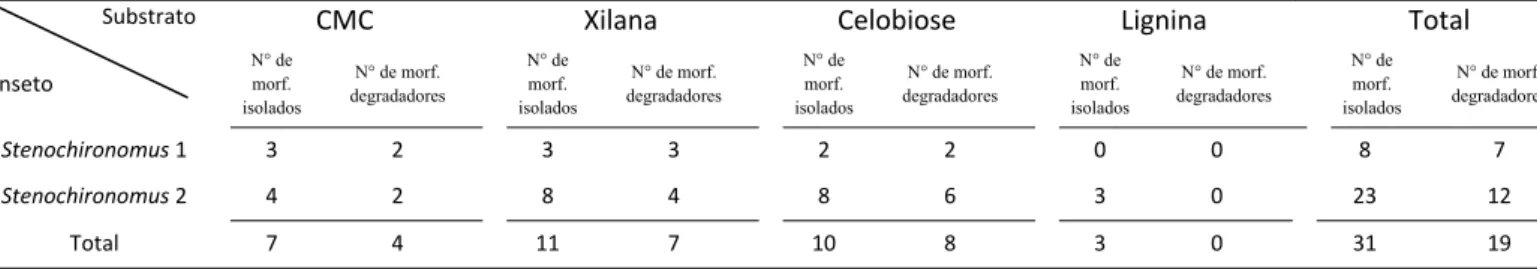 Tabela 5.2.1. Número de morfotipos isolados com capacidade de degradação do  substrato o qual foi isolado