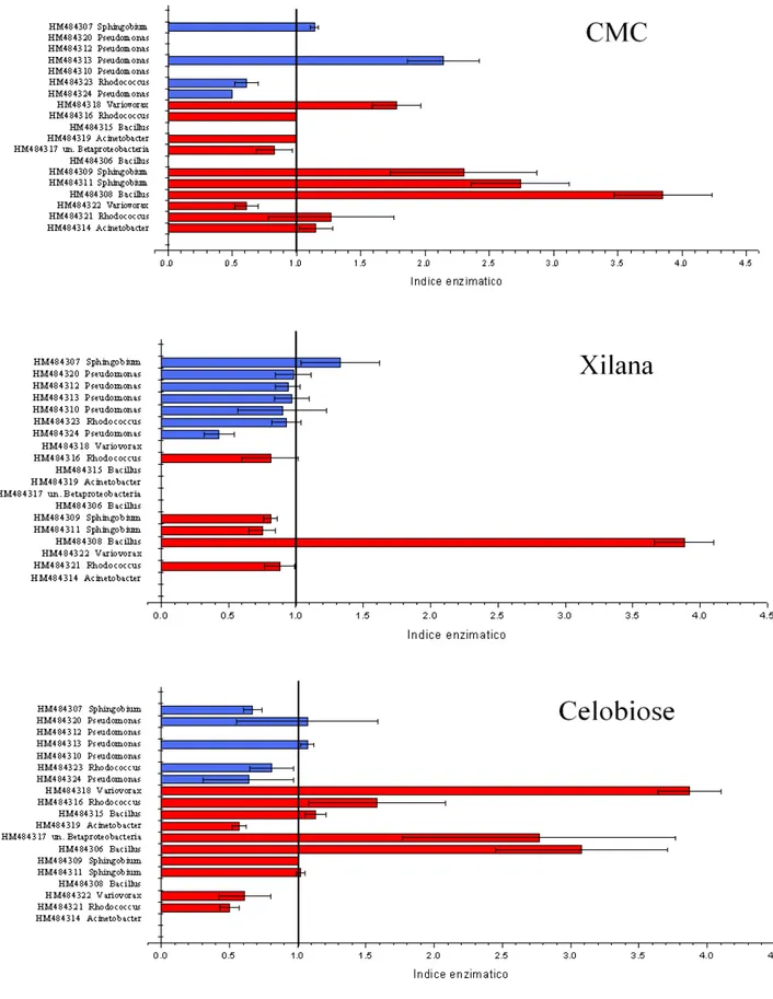 Figura 5.2.3. Resultado das análises da atividade enzimática das bactérias isoladas do trato  digestivo dos dois morfotipos de Stenochironomus;  , refere às bactérias isoladas das  larvas de Stenochironomus 1;  , refere as bactérias isoladas das larvas de 