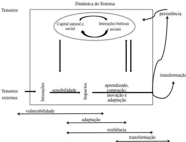 Figura  1.  Modelo  conceitual  do  funcionamento  do  sistema  socioecológico  e  como  a  teoria  da  resiliência  pode  ser  usada para compreendê-lo (adaptado de C HAPIN ET AL ., 2010)