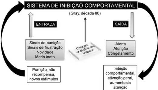 Figura 3. Sistema de Inibição Comportamental (adaptado Brandão et al, 2003). 