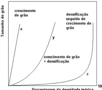 Figura  2.11 Tamanho de grão versus trajetória da densidade para: 