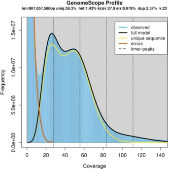 Figure 2: The histogram of the 23-mer depth distribution was plotted in GenomeScope [17] to estimate genome size (907 Mb), repeat content (40.7%), and heterozygosity level (1.43%)