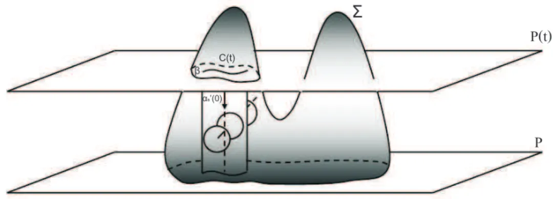 Figura 5.3: As esferas Σ 0 (x) centradas em cada ponto de η.