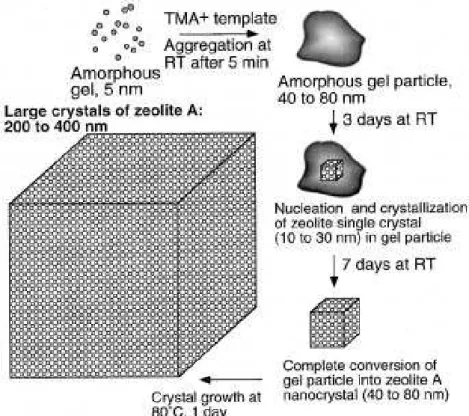 Figura 2.11 – Representação esquemática do mecanismo proposto para o crescimento dos cristais  da zeólita com estrutura LTA (MINTOVA et al., 1999b)
