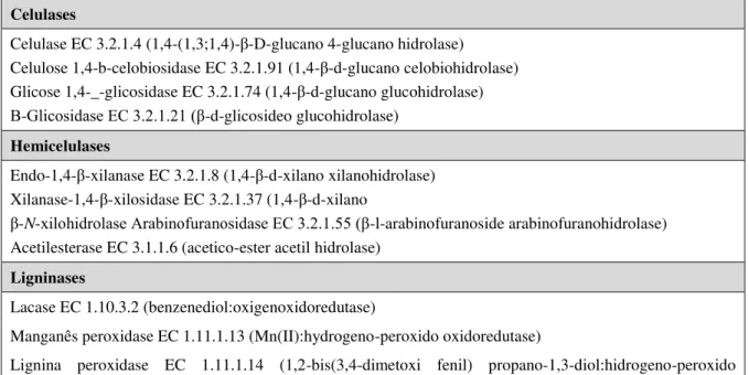 Tabela 2.4 Complexos enzimáticos produzidos por fungos capazes de hidrolisar materiais lignocelulósicos  (GRAMINHA et al.,2008)