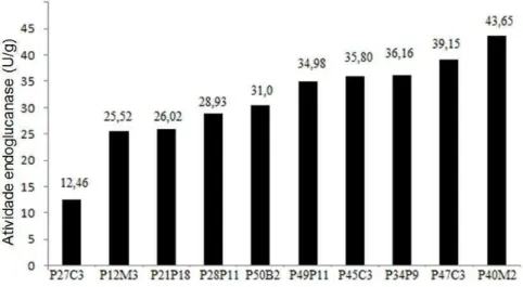 Figura 4.1 Produção de celulases por 10 linhagens selecionadas em FES utilizando farelo de trigo como  substrato, sendo P27C3, P45C3, P47C3 e P40M2 (Aspergillus sp.), P12M3, P28P11, P49P11 e P34P9 