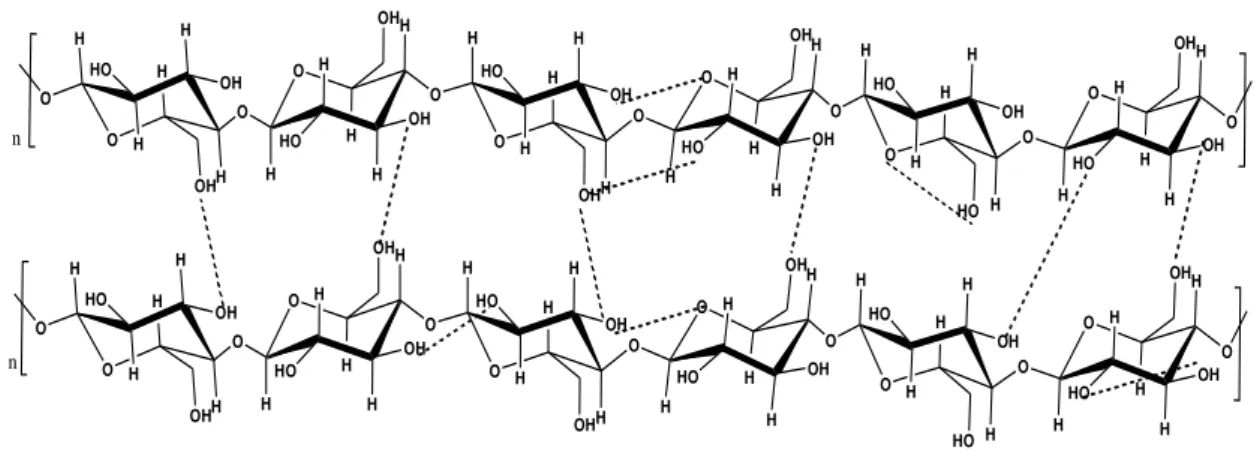 Figura 4- Estrutura química da celulose com a indicação das ligações de hidrogênio. 