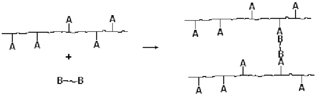 Figura 5- Formação de uma rede polimérica através da polimerização de grupos terminais