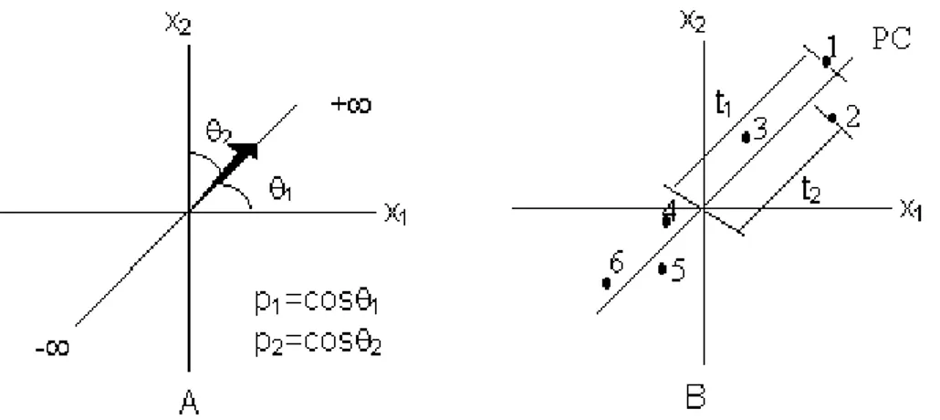 FIGURA  8-  Representação  de  uma  PC  no  caso  de  duas  variáveis:  (A)  os  loadings  são  os  ângulos  do  vetor  direção;  (B)  os  scores  são  as  projeções  das  amostras