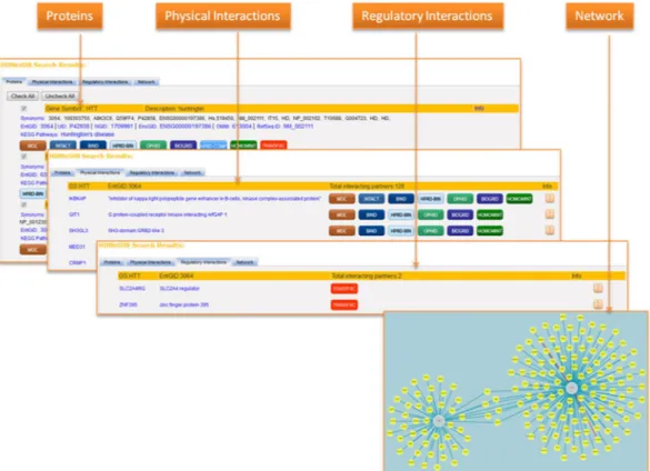 Figure 6.  User interface of HDNetDB. After execution of the query, information about proteins and their  interactions are shown and visualized on four different pages