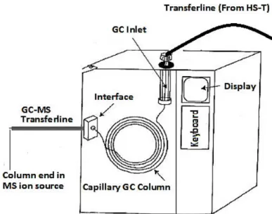 Figure 2 Schematic of a simplified gas chromatograph (page 8 (McMaster 2008) 