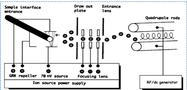Figure 3 Schematics of mass spectrometric operation with EI as the ion source and quadruple mass analyzer (page 44  (McMaster 2008) 