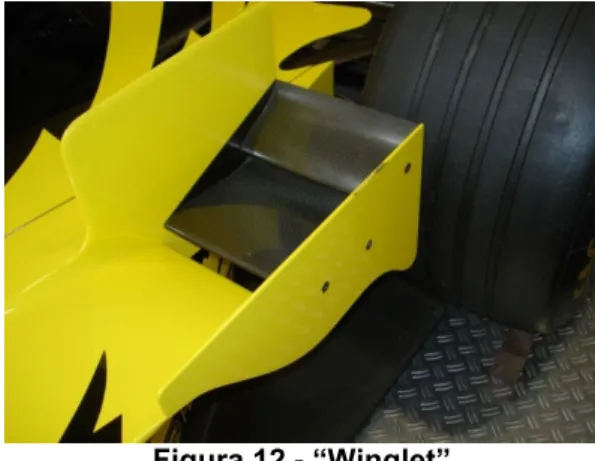 Figura 12 - “Winglet” 