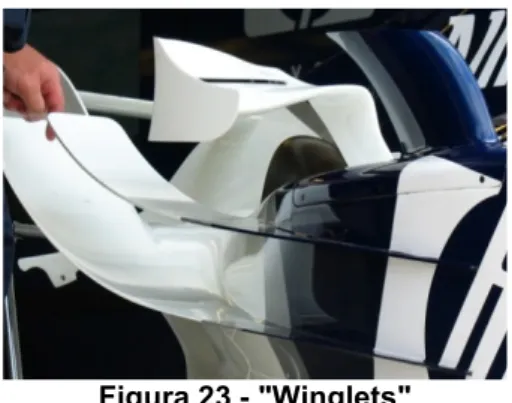 Figura 23 - "Winglets" 