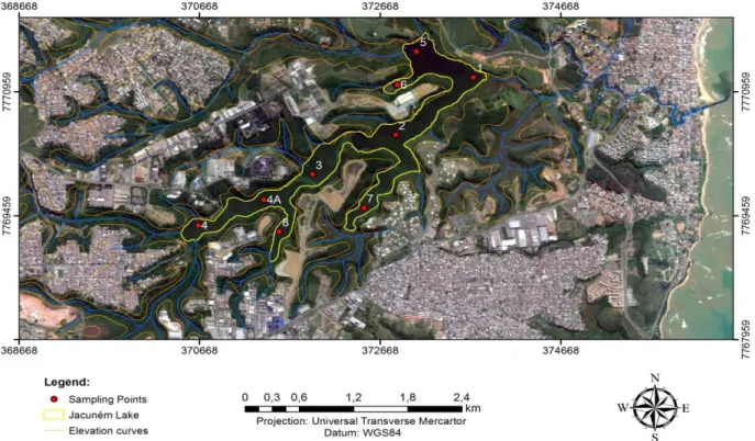 Figure 2.1. The sample collection site at Jacunem lagoon, Serra, Brazil (satellite image adapted  from Google Earth, using GIS software) 