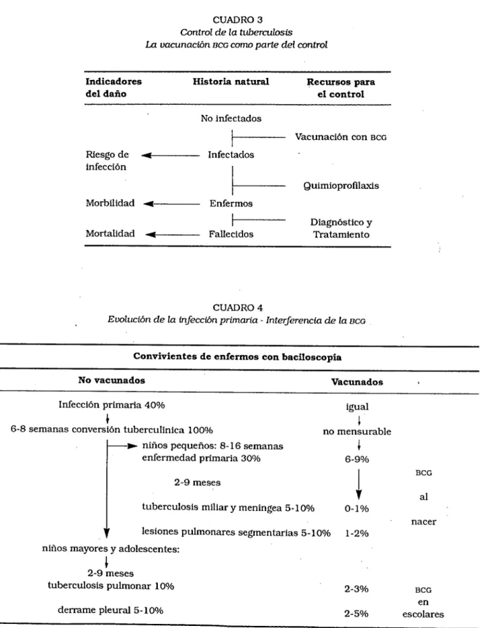 CUADRO 3  Coníroi de la tuberculosis  La vacunación BCG como parte del control 
