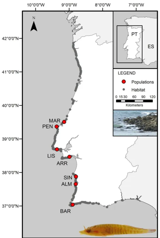 Fig 1. Study area. Sampling sites are shown as red points (with site labels as in Table 1) and possible habitat sites of L