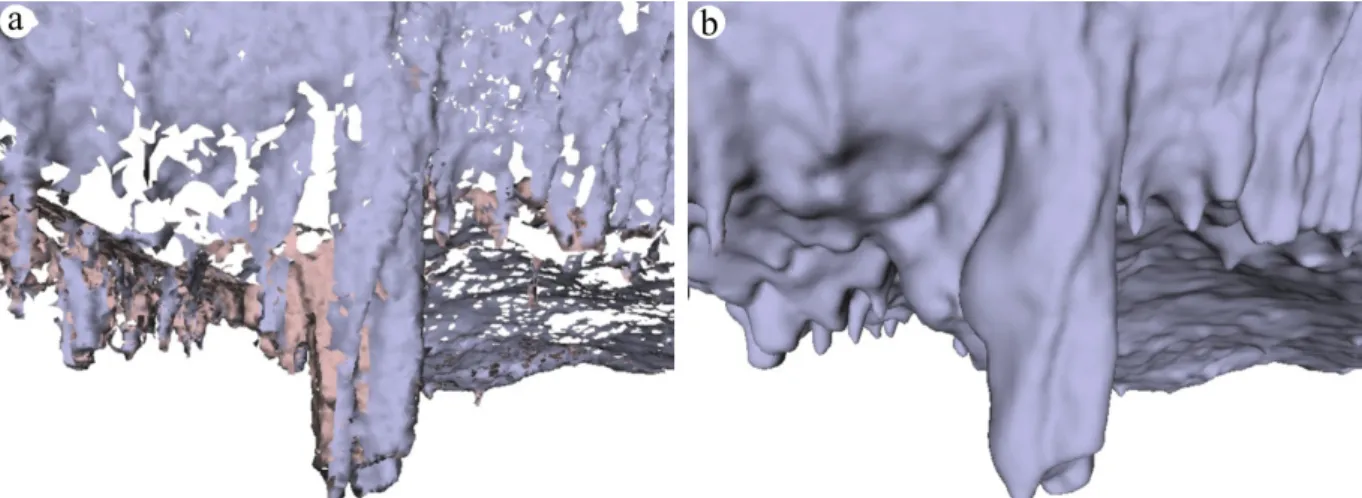 Fig. 3. Example extracted from cave 3D meshes generated with (a) the Ball - Pivoting Algorithm and (b) Poisson Surface Reconstruction.