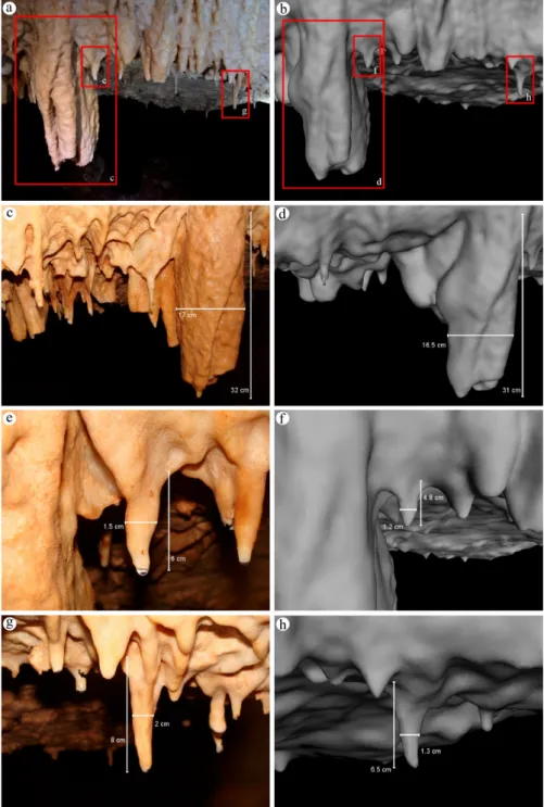 Fig. 4. Comparisons of feature measurements between photographs of actual structures  (left-hand images: a, c, e, g) and the generated 3D-mesh with an octree depth of 14 and 10 -3 samples per node (right-hand images: b, d, f, h)