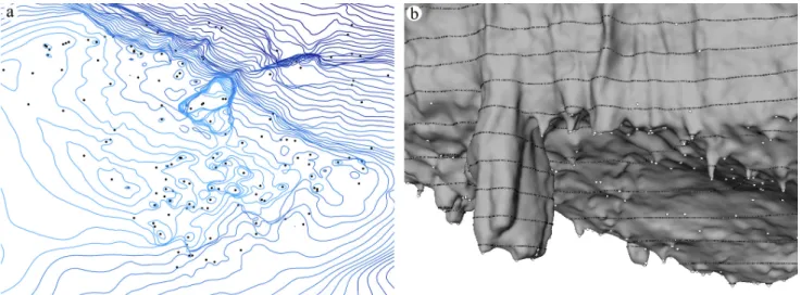 Fig. 6. Plane view with local minima representing the lower tips of stalactites and contour lines (a), and a 3D view of the same area   (b)