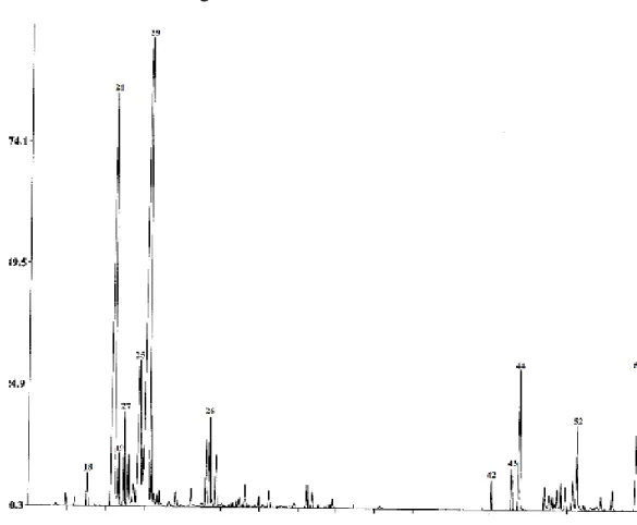 Figura 33 – Cromatograma do extracto de diclorometano a frio.  