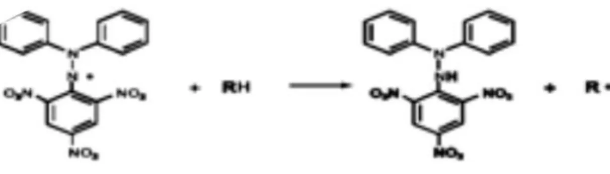 Figura  5  -  Reação  entre  o  DPPH  e  uma  substancia  antioxidante  dadora  de  um  átomo  de  hidrogénio  (Prakash, A.