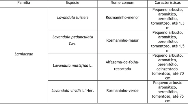 Tabela 1 - Espécies de Lavandula existentes em Portugal (Bringre P. et al., 2007). 