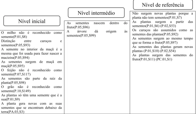 Figura 4.5 – Hipótese de Progressão relativa à categoria Semente. 