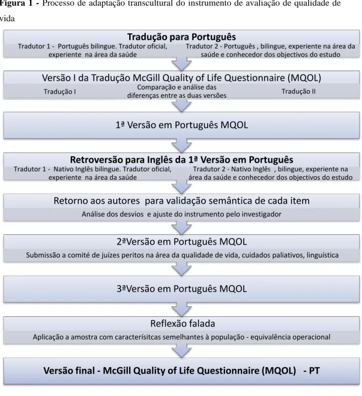 Figura  1  -  Processo de adaptação transcultu vida 