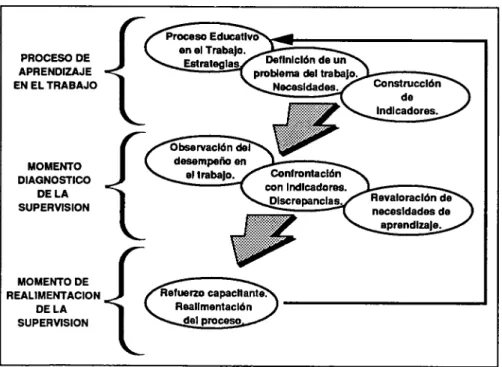 FIGURA  1 . Pasos del proceso de supervisión. 