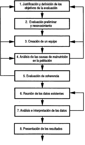 Figura 1.- Diagrama de las fases a seguir para realizar una evaluación del estado de nutrición