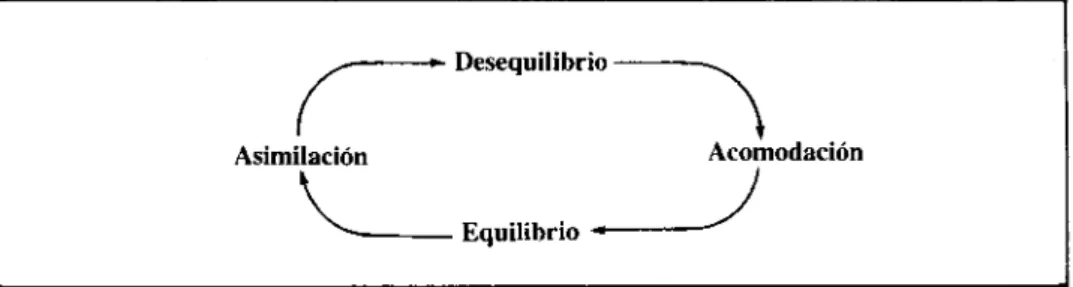 Fig. 7-2. Procesos cíclicos del desarrollo cognoscitivo.