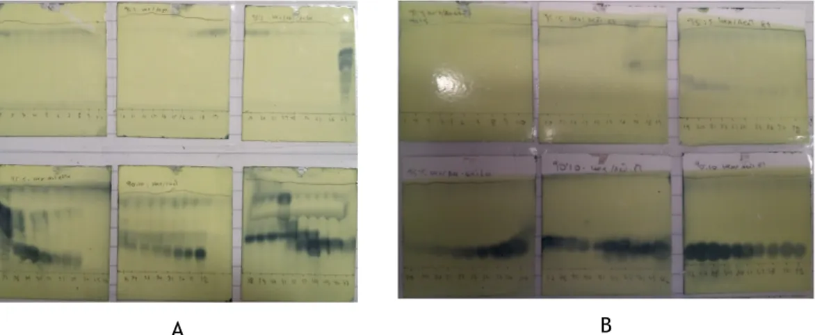 Figura 16: Exemplos de Placas de CCF: A-Extrato de hexano Camp1:1_19; B-extrato de parte neutra  Glob1:1_23 