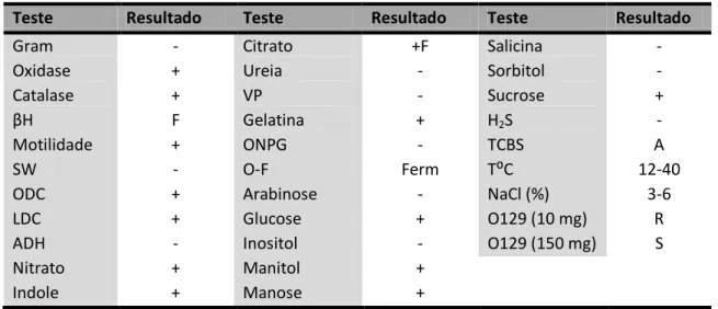 Tabela II- Testes bioquímicos utilizados na identificação da estirpe  V. harveyi ATCC 14126, segundo  Buller  (2004);  βH=β  haemolysis;  SW  =  Swarming;  ODC  =  Ornithine  decarboxylase;  LDC  =  Lysine  decarboxylase; ADH = Arginine dihydrolase; VP = V